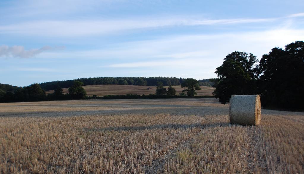 Huntstile Organic Farm Bed and Breakfast Bridgwater Eksteriør billede