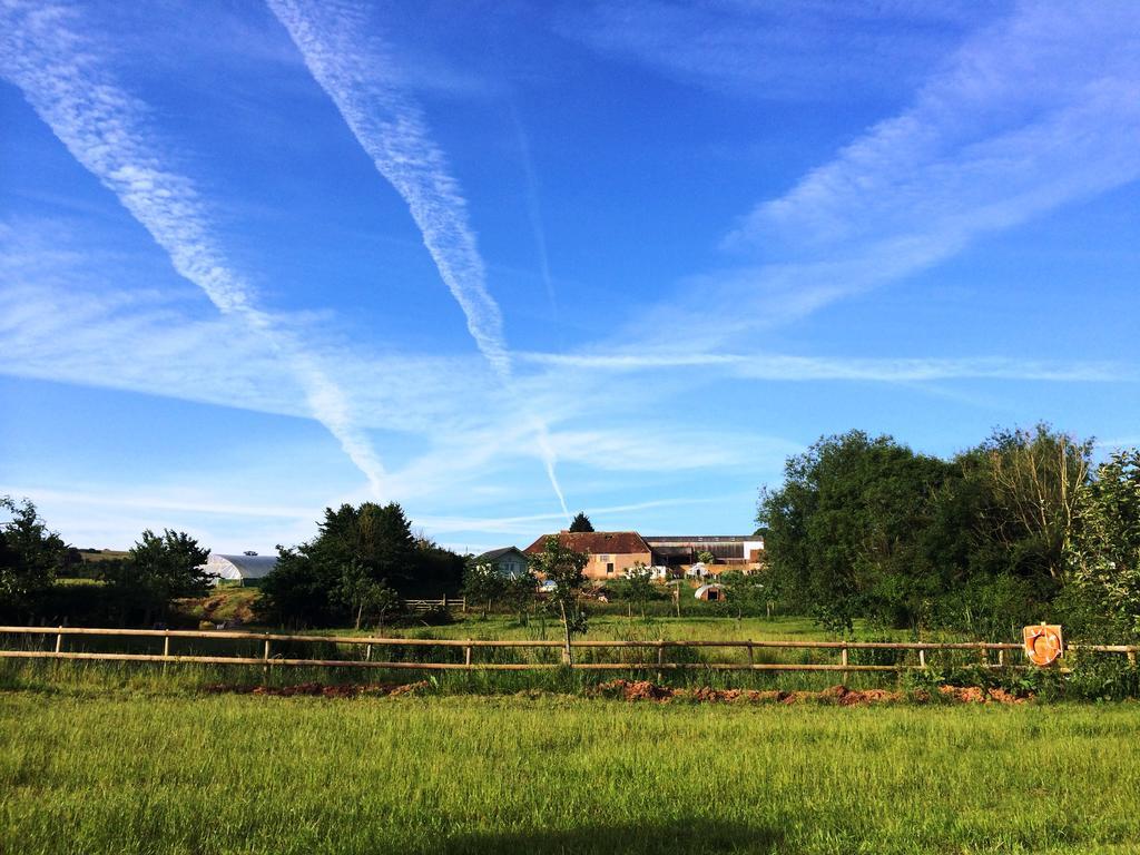 Huntstile Organic Farm Bed and Breakfast Bridgwater Eksteriør billede