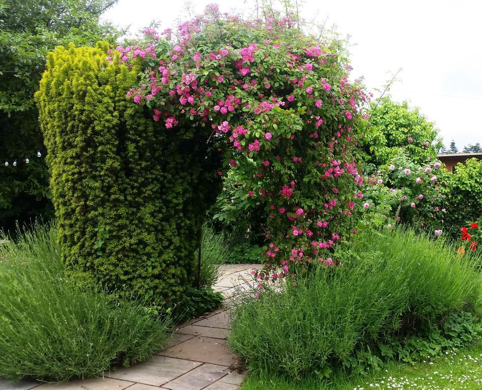 Huntstile Organic Farm Bed and Breakfast Bridgwater Eksteriør billede