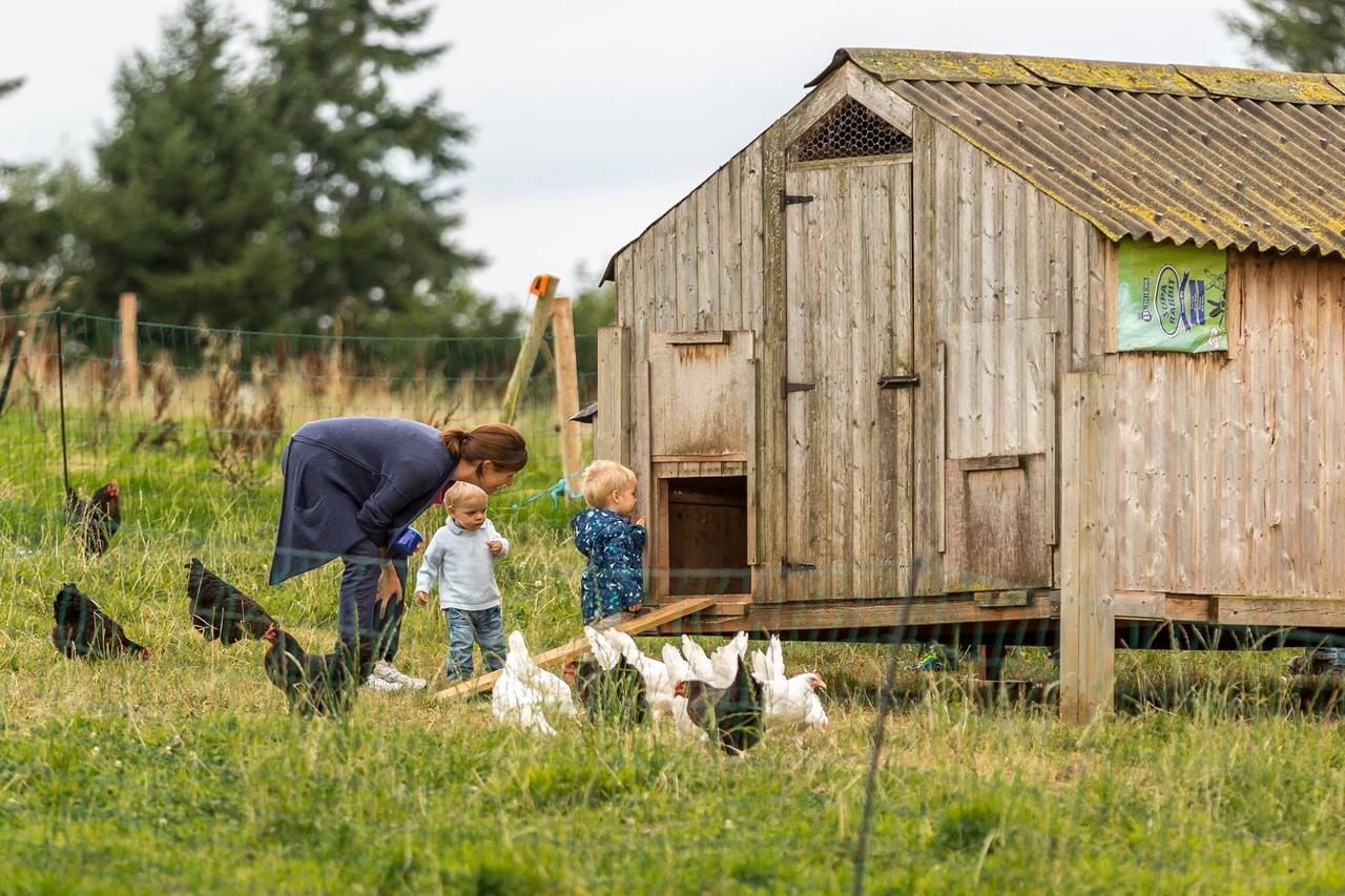 Huntstile Organic Farm Bed and Breakfast Bridgwater Eksteriør billede
