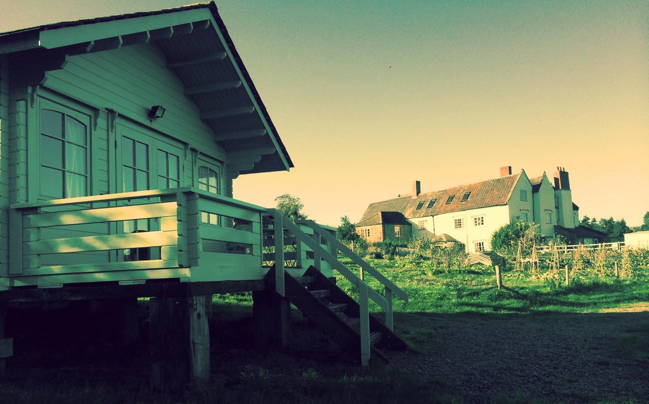 Huntstile Organic Farm Bed and Breakfast Bridgwater Eksteriør billede
